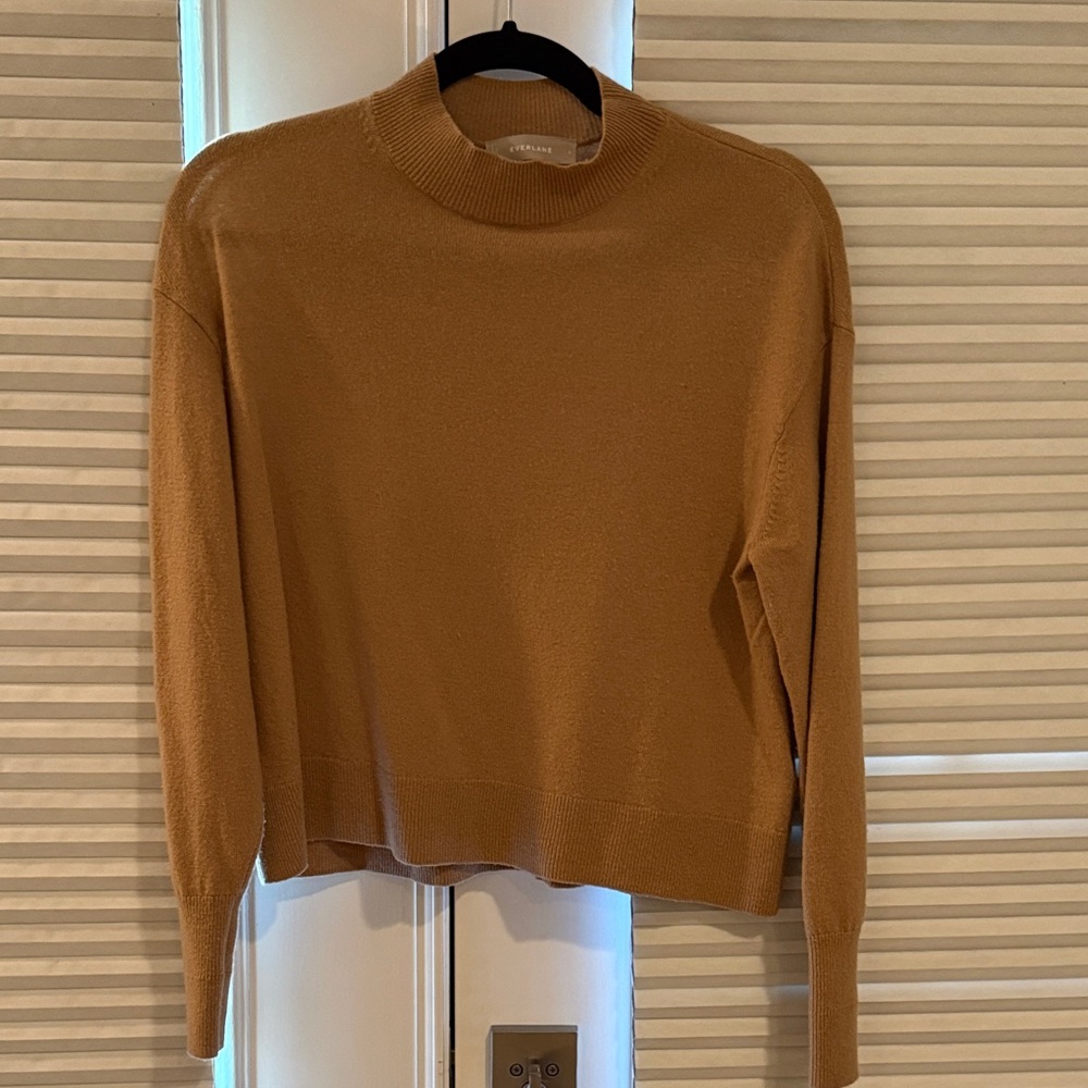 Everlane Camel cashmere Sweater